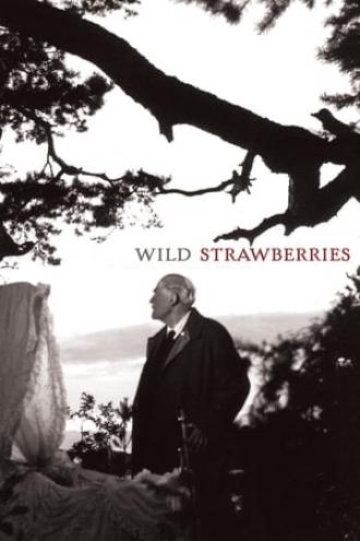 Wild Strawberries (movie 1957)