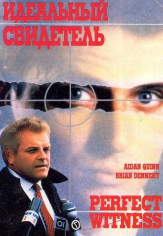 Perfect Witness (movie 1989)