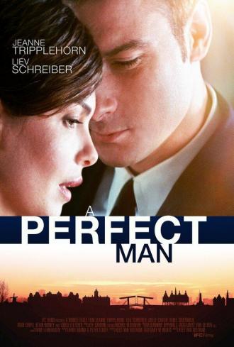 A Perfect Man (movie 2013)