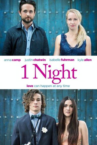 1 Night (movie 2016)
