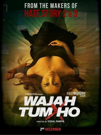 Wajah Tum Ho (movie 2016)