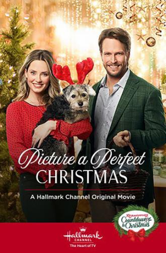 Picture a Perfect Christmas (movie 2019)