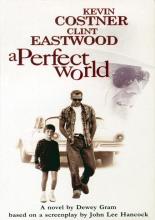 A Perfect World (1993)