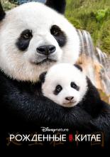 Born in China (2016)