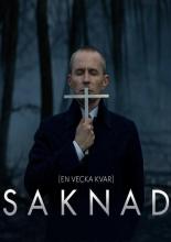 Missing (2017)