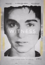 The Witness (2015)