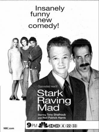Stark Raving Mad (tv-series 1999)