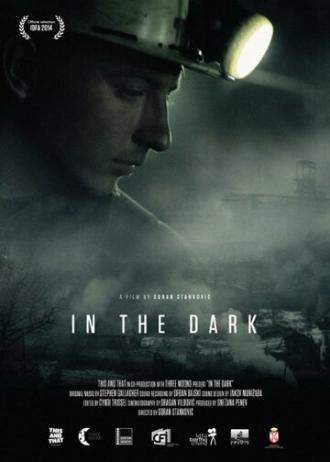 In the Dark (movie 2014)