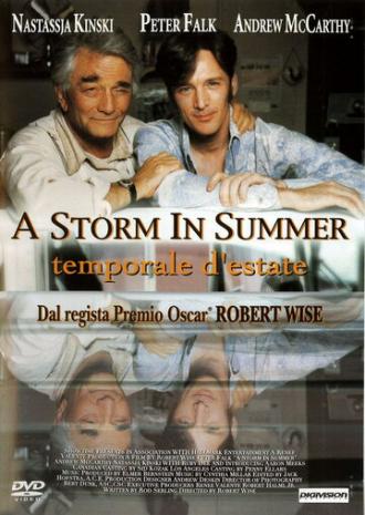 A Storm in Summer (movie 2000)