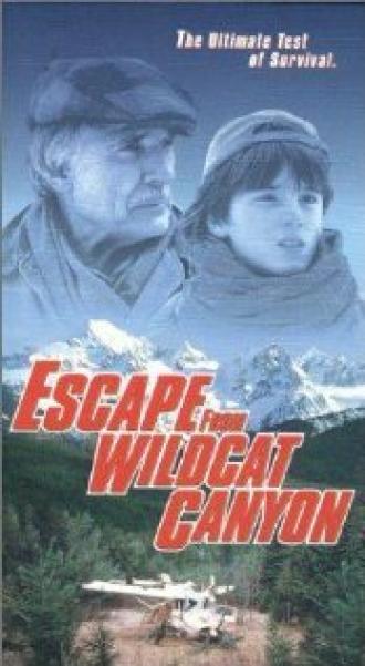 Escape from Wildcat Canyon (movie 1998)