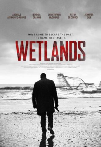 Wetlands (movie 2017)