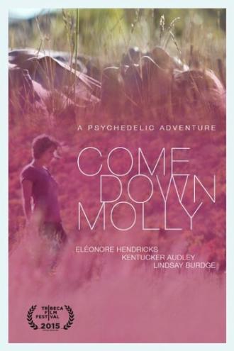 Come Down Molly (movie 2015)