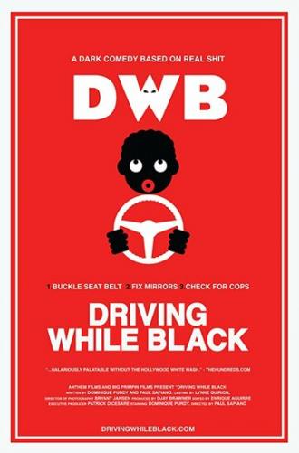 Driving While Black (movie 2016)