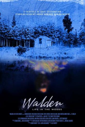 Walden: Life in The Woods (movie 2017)