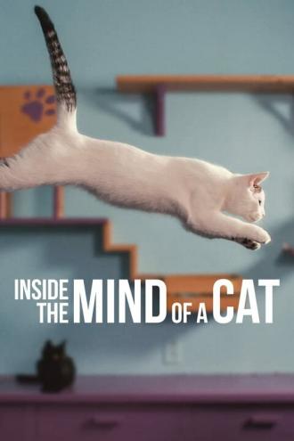 Inside the Mind of a Cat (movie 2022)
