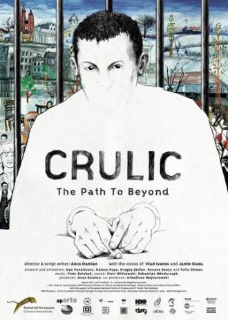 Crulic: The Path to Beyond