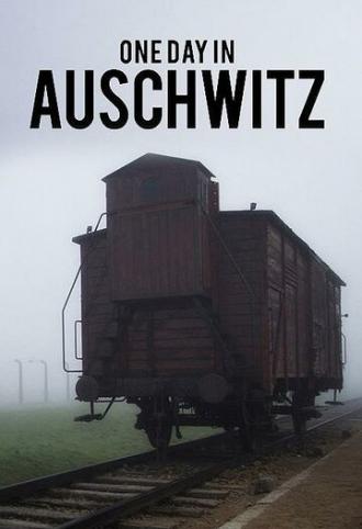 One Day in Auschwitz (movie 2015)