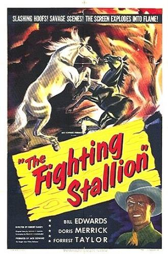 The Fighting Stallion