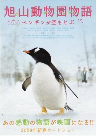 Penguins in the sky - Asahiyama zoo (movie 2008)