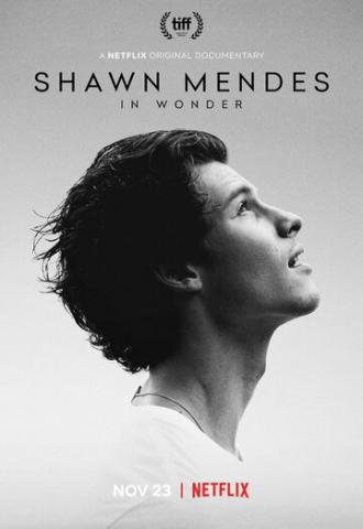 Shawn Mendes: In Wonder (movie 2020)