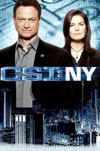 CSI: NY (tv-series 2004)