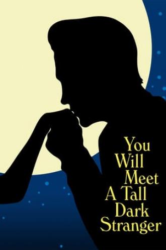 You Will Meet a Tall Dark Stranger (movie 2010)
