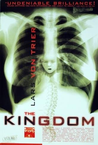 The Kingdom (tv-series 1994)