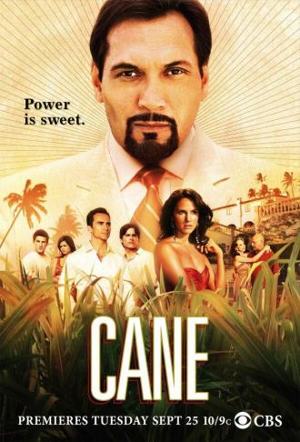 Cane (tv-series 2007)