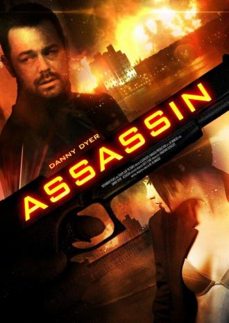 Assassin (movie 2015)