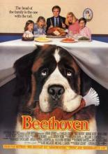 Beethoven (1992)