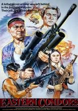 Eastern Condors (1987)