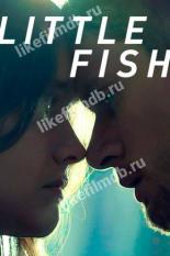 Little Fish (2021)