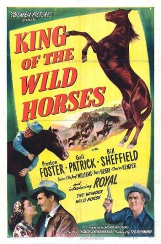 King of the Wild Horses (movie 1947)