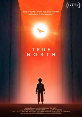 true North (movie 2020)