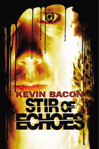Stir of Echoes (movie 1999)
