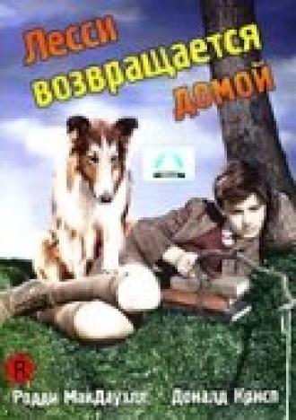 Lassie Come Home (movie 1943)