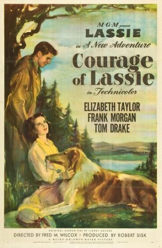 Courage of Lassie (movie 1946)