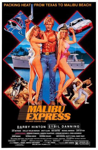 Malibu Express (movie 1985)