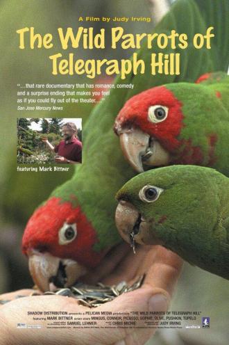 The Wild Parrots of Telegraph Hill (movie 2003)
