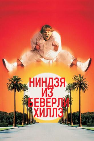 Beverly Hills Ninja (movie 1997)