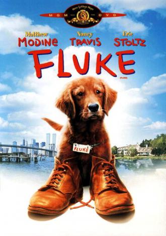 Fluke (movie 1995)