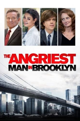 The Angriest Man in Brooklyn (movie 2014)