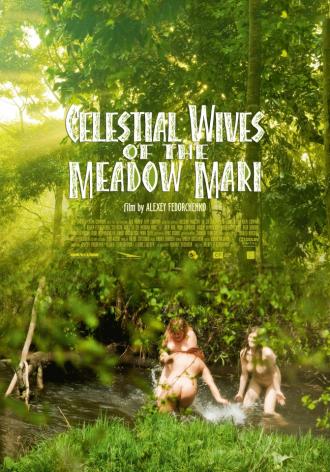 Celestial Wives of the Meadow Mari (movie 2012)