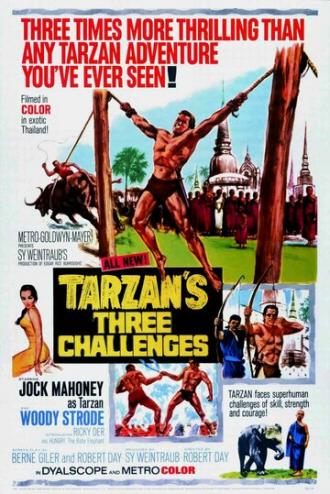 Tarzan's Three Challenges (movie 1963)