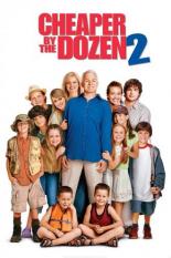 Cheaper by the Dozen 2 (2005)