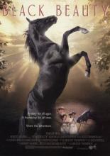 Black Beauty (1994)