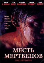 Shallow Ground (2005)