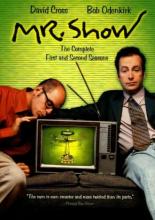 Mr. Show with Bob and David (1995)