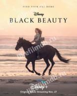 Black Beauty (2020)
