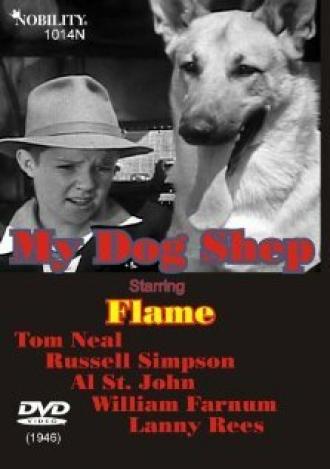 My Dog Shep (movie 1946)